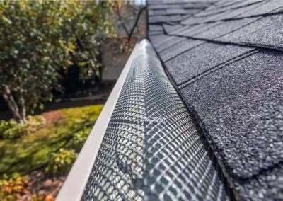 Durable And Weather-Resistant Gutter Guards Installation