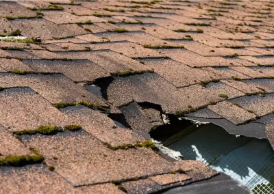 Expert Storm Damage Repair Services